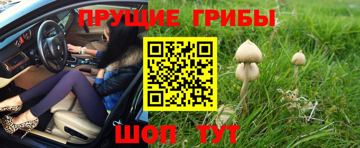 Псилоцибиновые грибы GOLDEN TEACHER Югорск